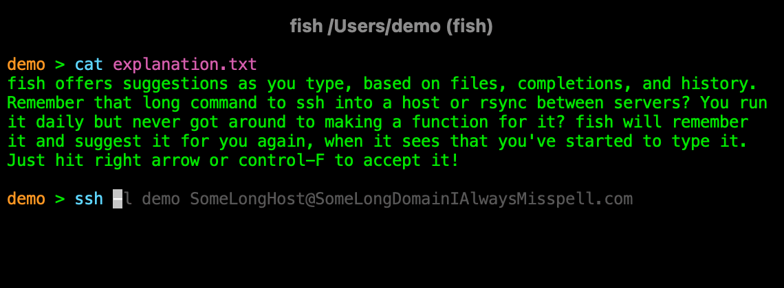 fish shows suggestions based on files, completions and your history. In this case it offers to turn 'ssh -' into 'ssh -l demo SomeLongHost@SomeLongDomainIAlwaysMisspell.com', and you can accept it with right arrow or control-F