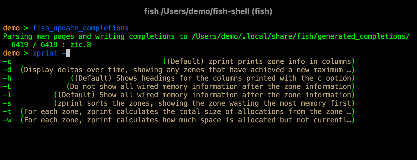 fish_update_completions updates the completion script and the pager shows descriptions for each option